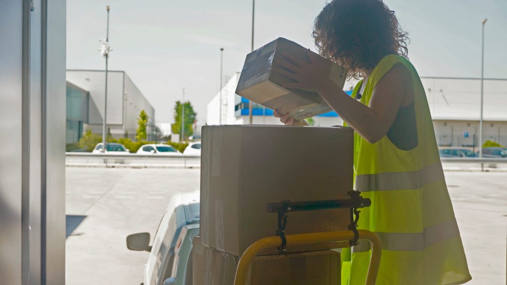 efecto bullwhip en la cadena de suministro